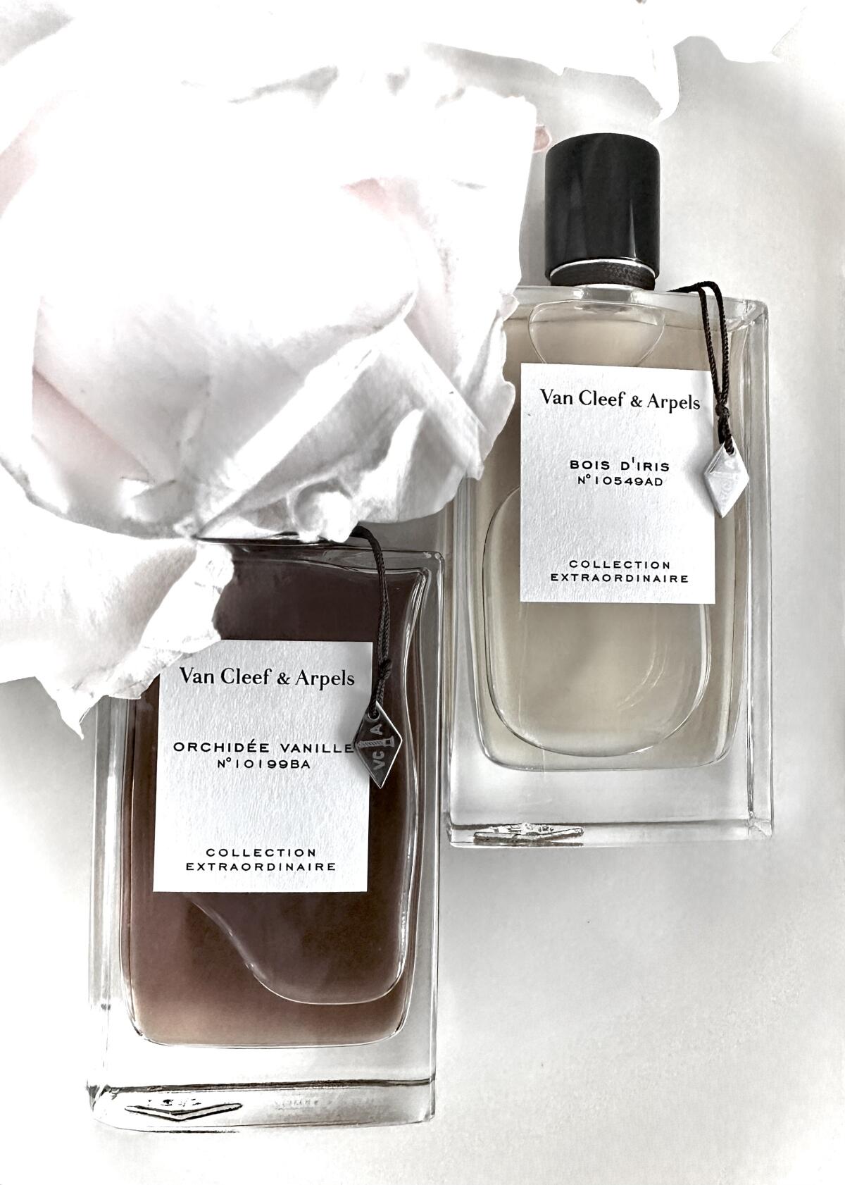 عطر ادکلن بوا د آیریس ون کلیف اند آرپلس - Bois d'Iris Van Cleef & Arpels - بررسی، قیمت و خرید