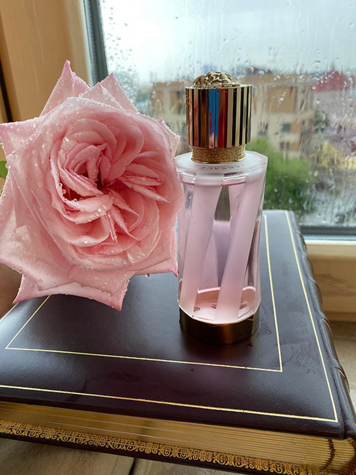 عطر ادکلن اکلا دو رز ورساچه - Éclat de Rose Versace - بررسی، قیمت و خرید
