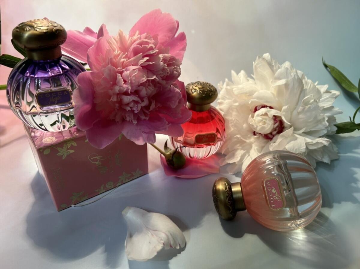 عطر ادکلن جیا توکا - Gia Tocca - بررسی، قیمت و خرید