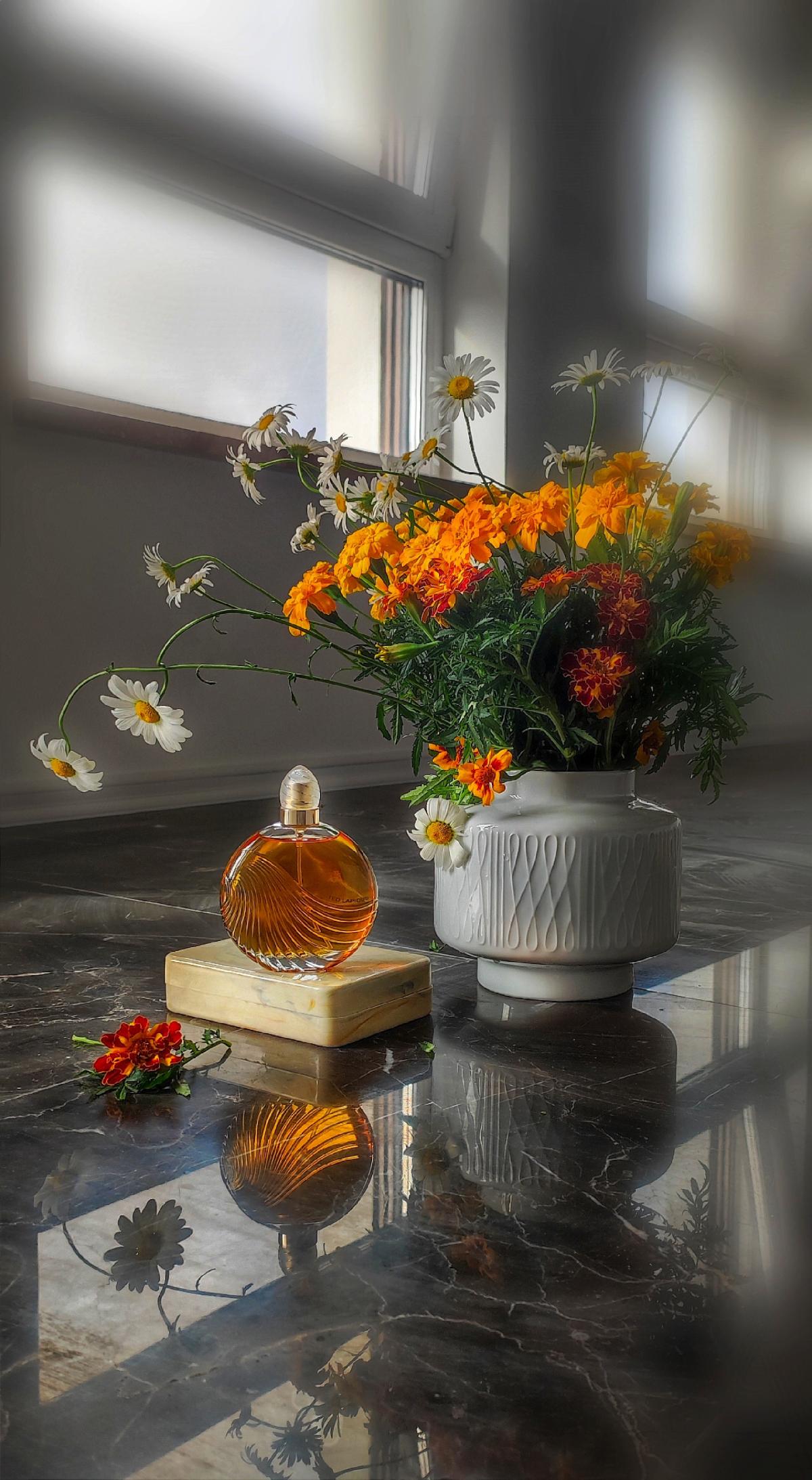 عطر ادکلن کریِیشِن تد لاپیدوس - Creation Ted Lapidus - بررسی، قیمت و خرید