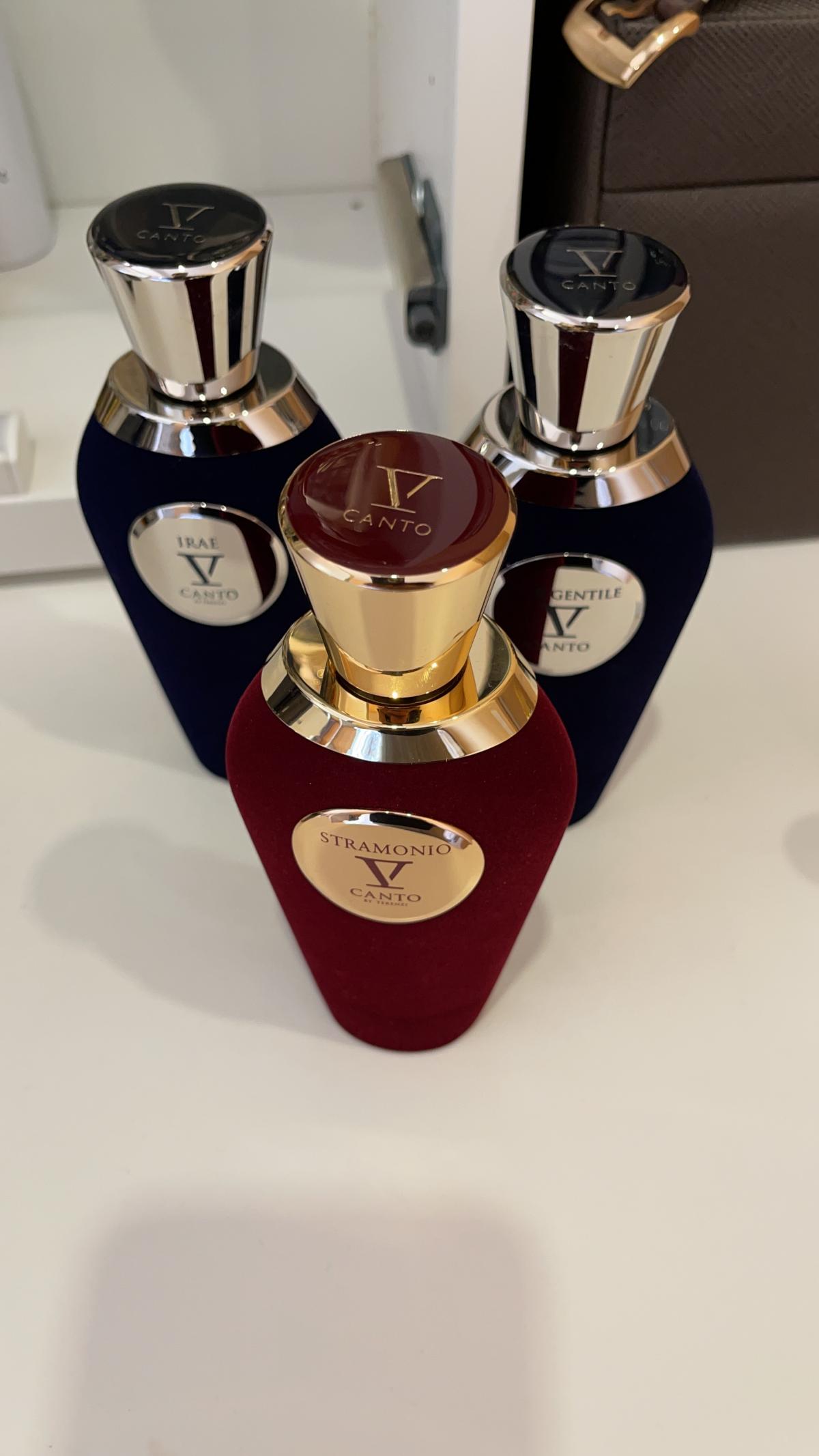 عطر ادکلن کور جنتایل وی کنتو - Cor Gentile V Canto - بررسی، قیمت و خرید