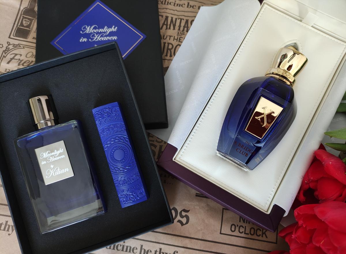 عطر ادکلن کیمبریج کلاب زرجف - K’bridge Club Xerjoff - بررسی، قیمت و خرید