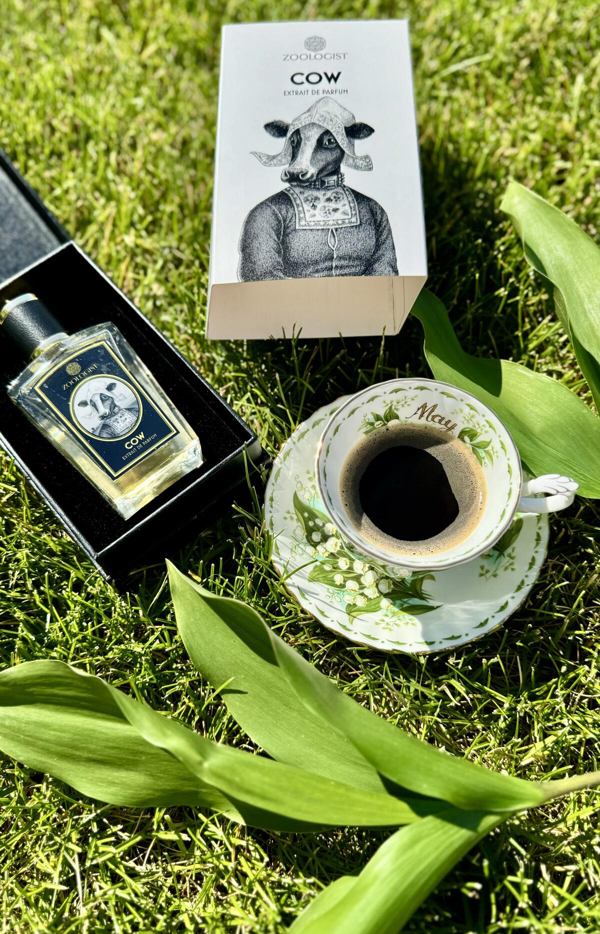 عطر ادکلن کو زولوژیست پرفیومز - Cow Zoologist Perfumes - بررسی، قیمت و خرید