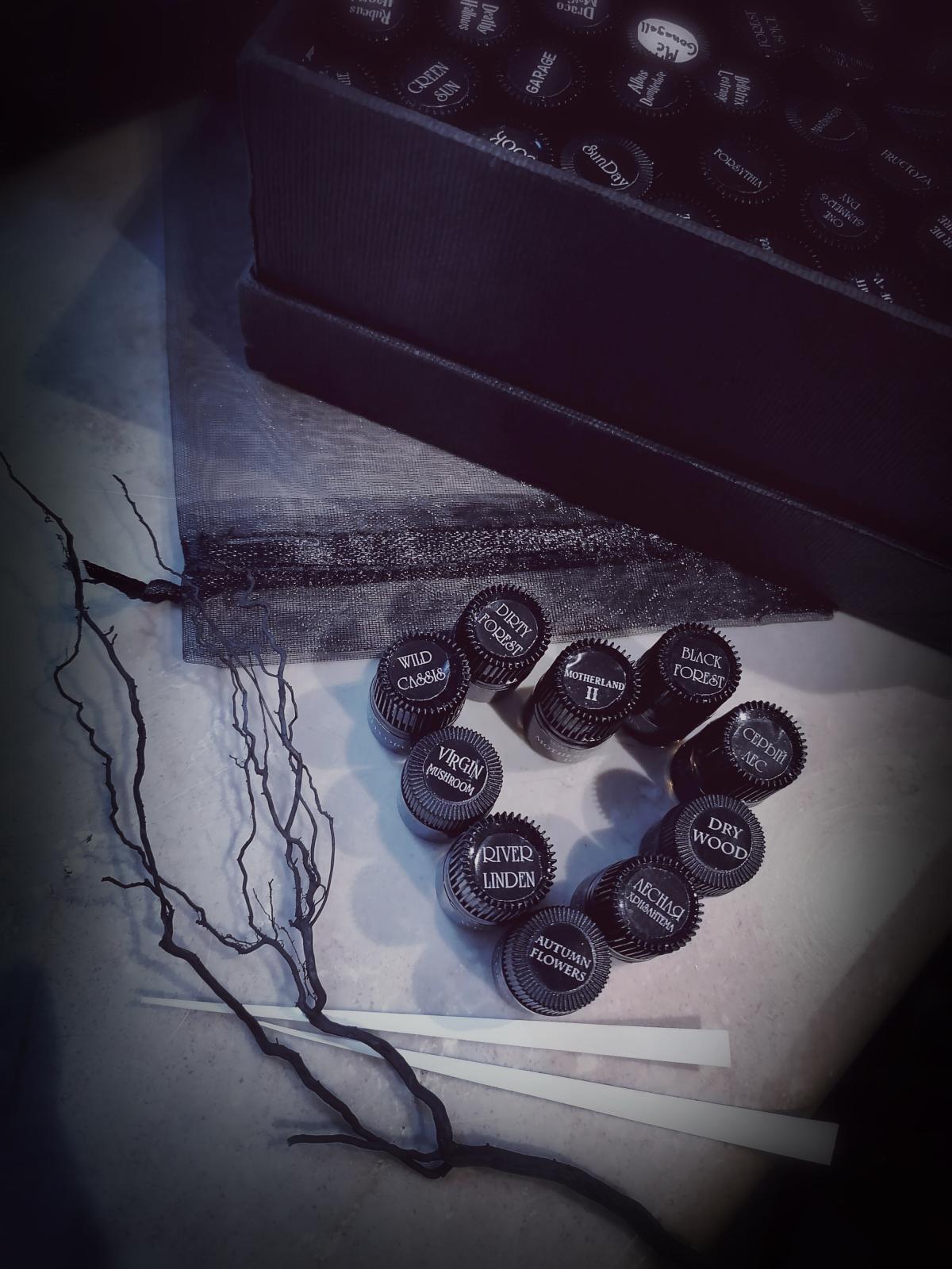 عطر ادکلن درتی فورست وایلد دراپز پرفیومز - Dirty Forest Wild Drops Parfums - بررسی، قیمت و خرید