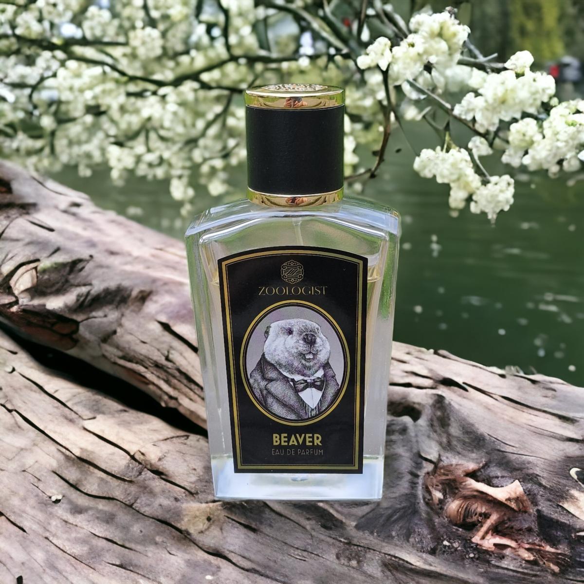 عطر ادکلن بیور ادیشن ۲۰۱۶ زولوژیست پرفیومز - Beaver Edition 2016 Zoologist Perfumes - بررسی، قیمت و خرید