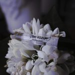 عطر ادکلن هالووین هالووین - Halloween Halloween - بررسی، قیمت و خرید
