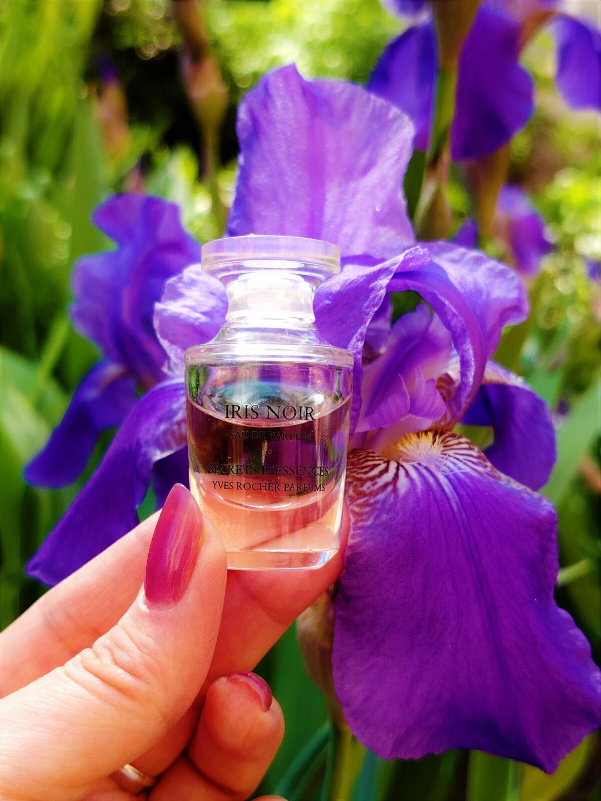 عطر ادکلن آیریس نوآر ایوز روشه - Iris Noir Yves Rocher - بررسی، قیمت و خرید