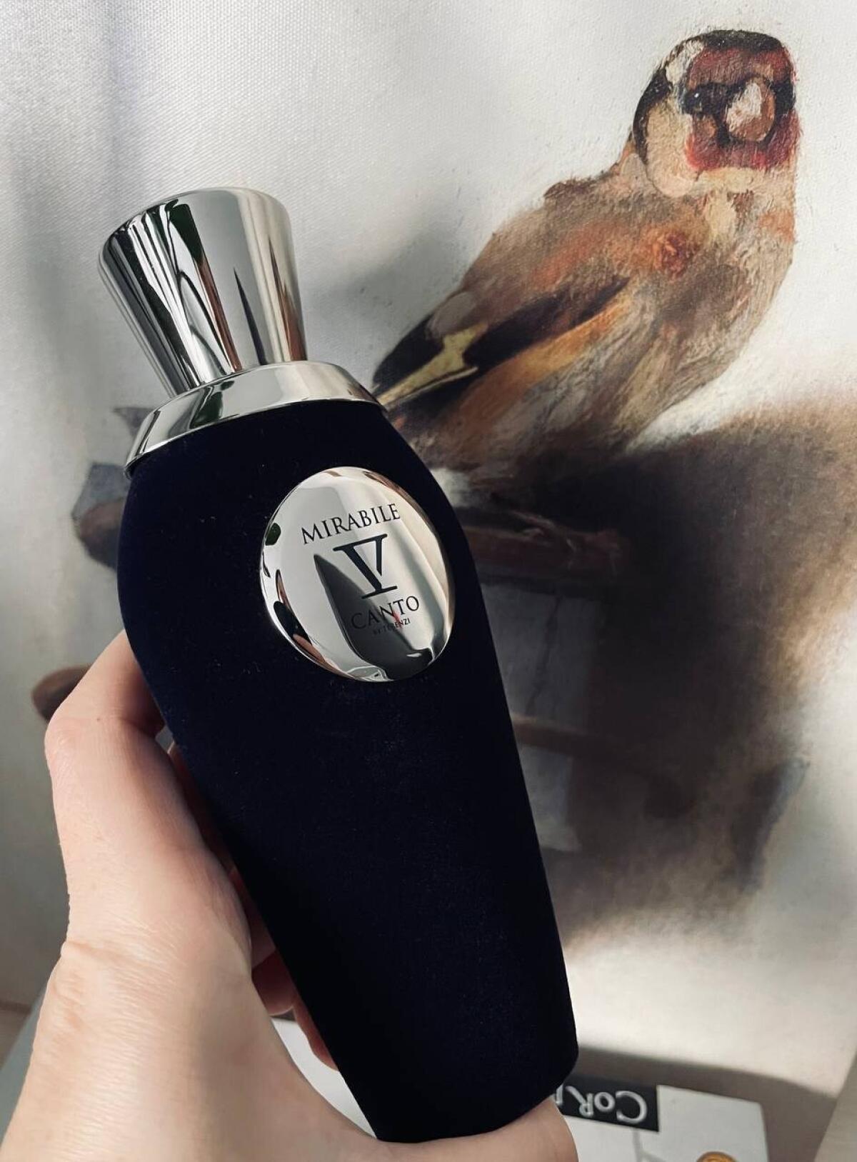 عطر ادکلن میرا‌بیل وی کانتو - Mirabile V Canto - بررسی، قیمت و خرید