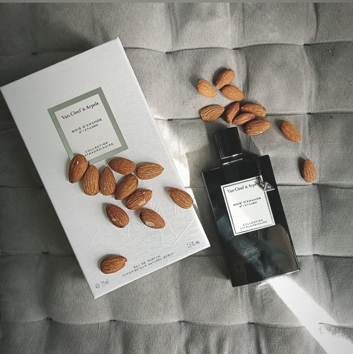عطر ادکلن بوا داماند ون کلیف اند آرپلز - Bois d'Amande Van Cleef & Arpels - بررسی، قیمت و خرید