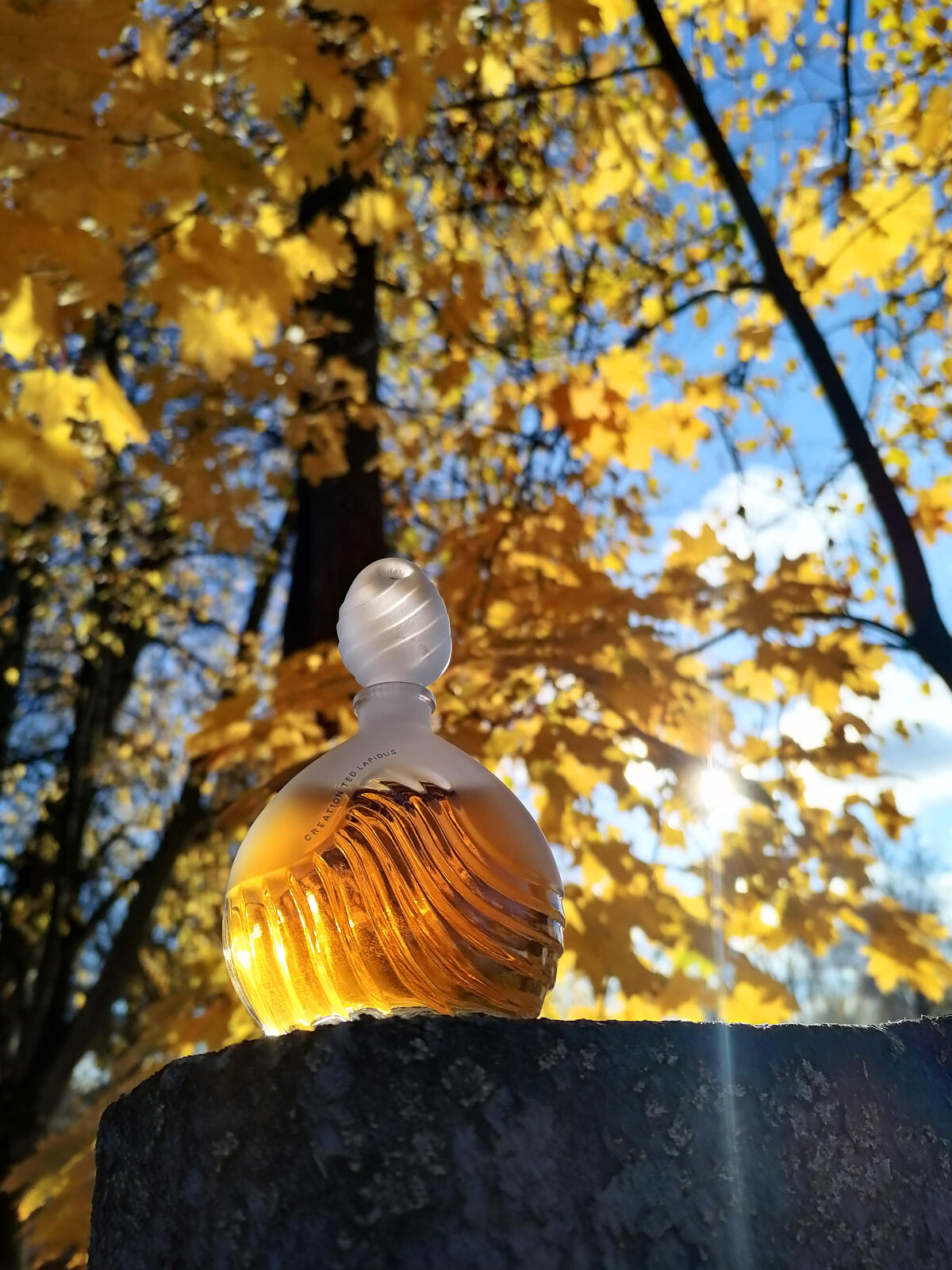 عطر ادکلن کریشِن 1984 تد لاپیدوس - Creation 1984 Ted Lapidus - بررسی، قیمت و خرید