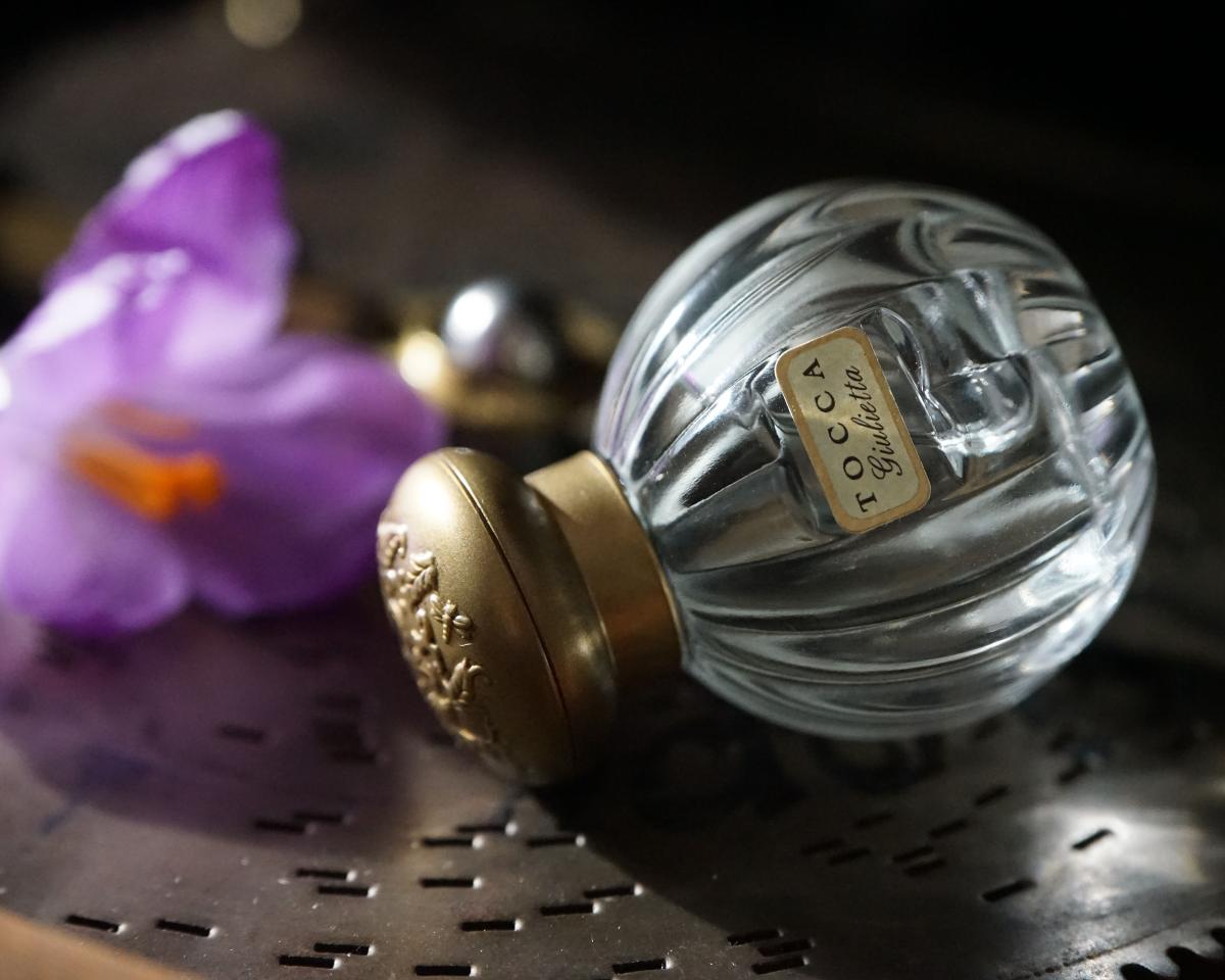 عطر ادکلن جولیتا توکا - Giulietta Tocca - بررسی، قیمت و خرید