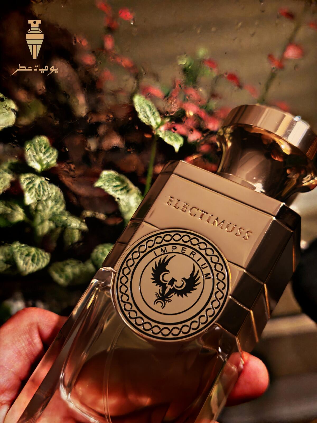 عطر ادکلن امپریوم الکتیماس - Imperium Electimuss - بررسی، قیمت و خرید