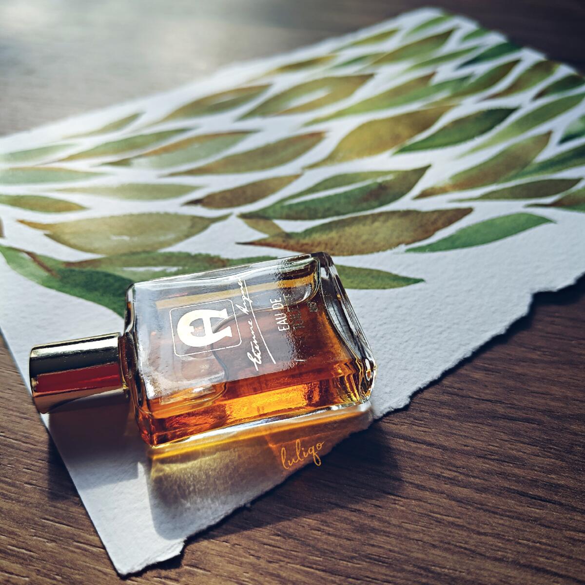 عطر ادکلن اتین آینر نامبر وان اِتین آینگر - Etienne Aigner No 1 Etienne Aigner - بررسی، قیمت و خرید