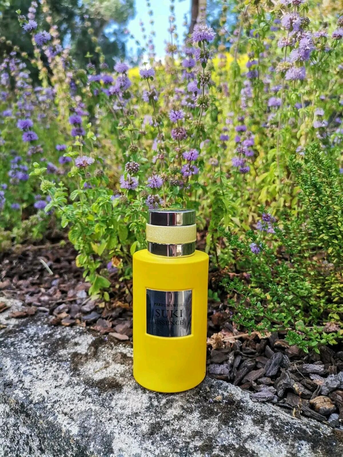 عطر ادکلن سوکی اسنس وایل - Suki Essence Weil - بررسی، قیمت و خرید