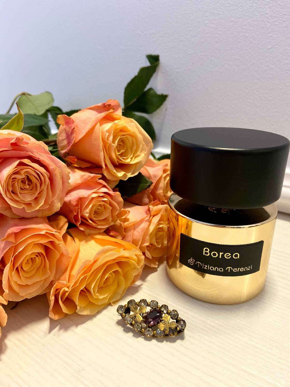 عطر ادکلن بوره تیزیانا ترنزی - Borea Tiziana Terenzi - بررسی، قیمت و خرید