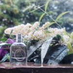 عطر ادکلن اُ د پرفیوم برن د لاونده دورانس ان پرووانس - Eau de Parfum Brin de Lavande Durance en Provence - بررسی، قیمت و خرید
