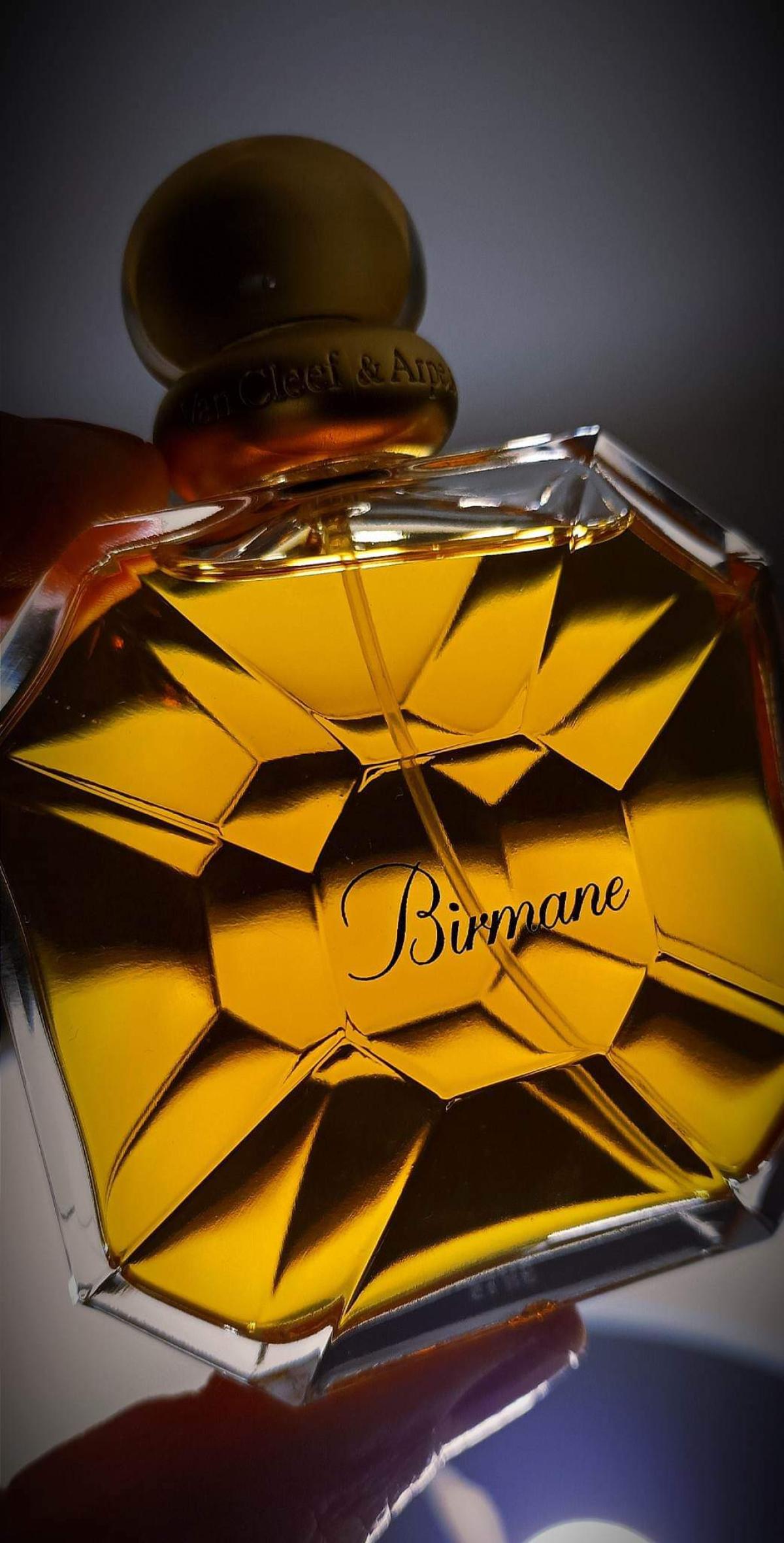عطر ادکلن بیرمان ون کلیف اند آرپلز - Birmane Van Cleef & Arpels - بررسی، قیمت و خرید