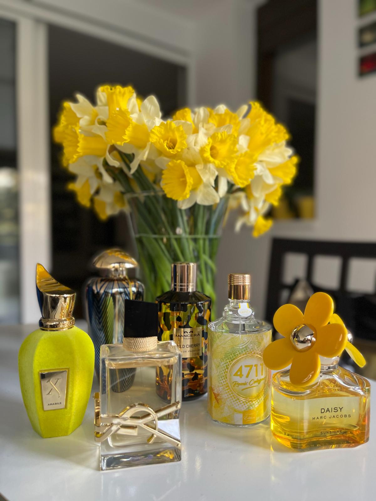 عطر ادکلن وینیجیا ۲۱ ده مرچنت آو ونیس - Vinegia 21 The Merchant of Venice - بررسی، قیمت و خرید