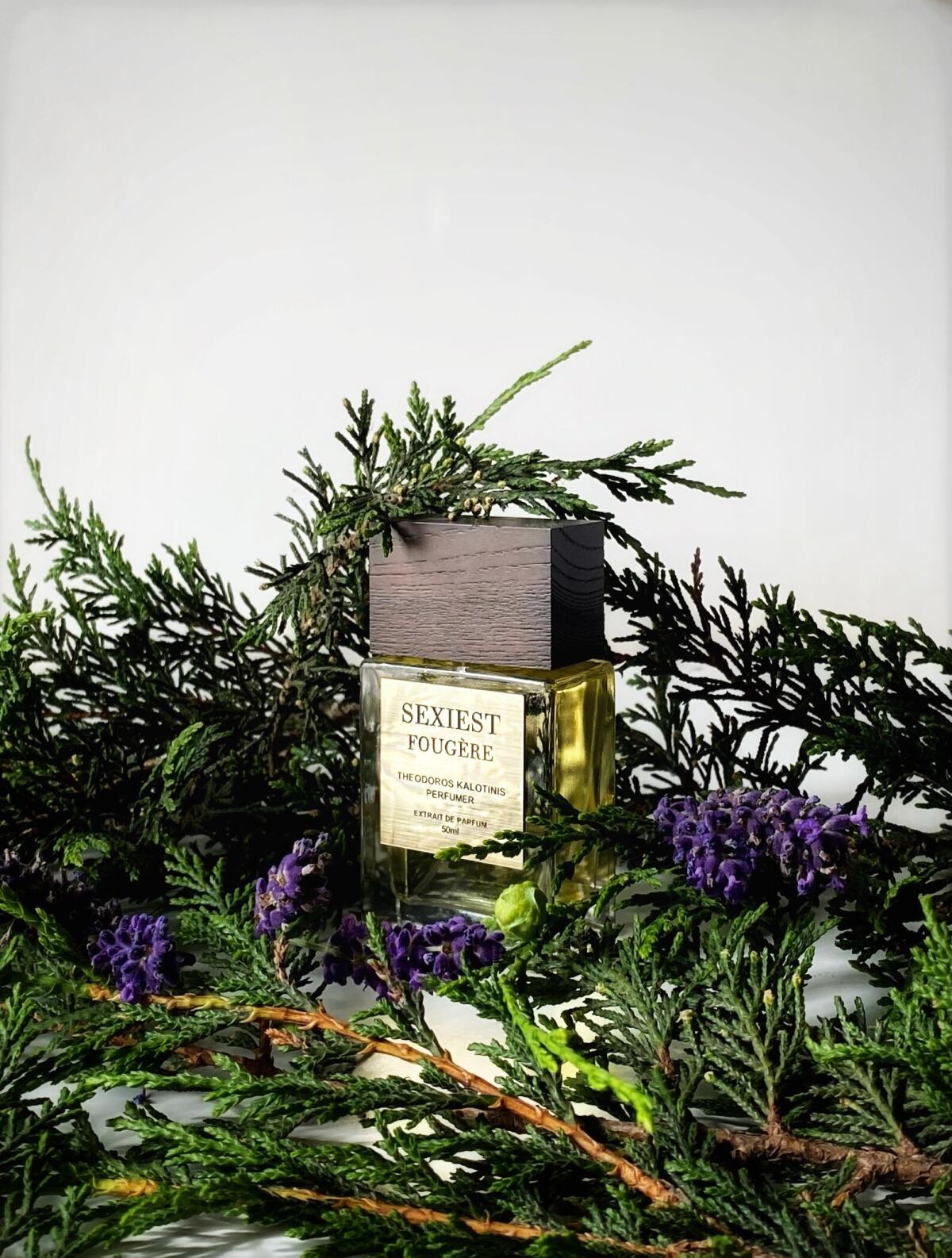 عطر ادکلن سکسیست فوجر تئودوروس کالوتینیوس - Sexiest Fougere Theodoros Kalotinis - بررسی، قیمت و خرید