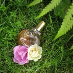 عطر ادکلن وندر بیلت گلودیا وندربیلت - Vanderbilt Gloria Vanderbilt - بررسی، قیمت و خرید