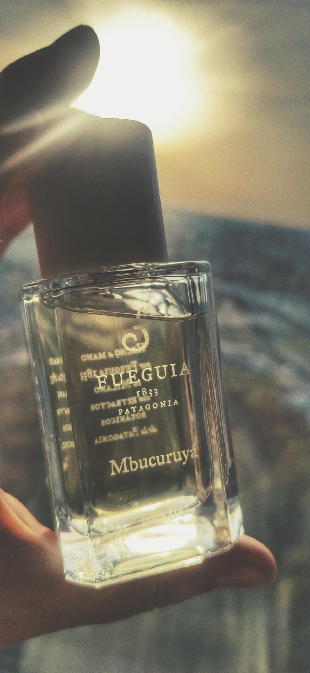 عطر ادکلن مبوکوریا فگیا ۱۸۳۳ - Mbucuruyá Fueguia 1833 - بررسی، قیمت و خرید