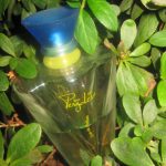 عطر ادکلن پرگولزی دزینتارس - Pergolese Dzintars - بررسی، قیمت و خرید