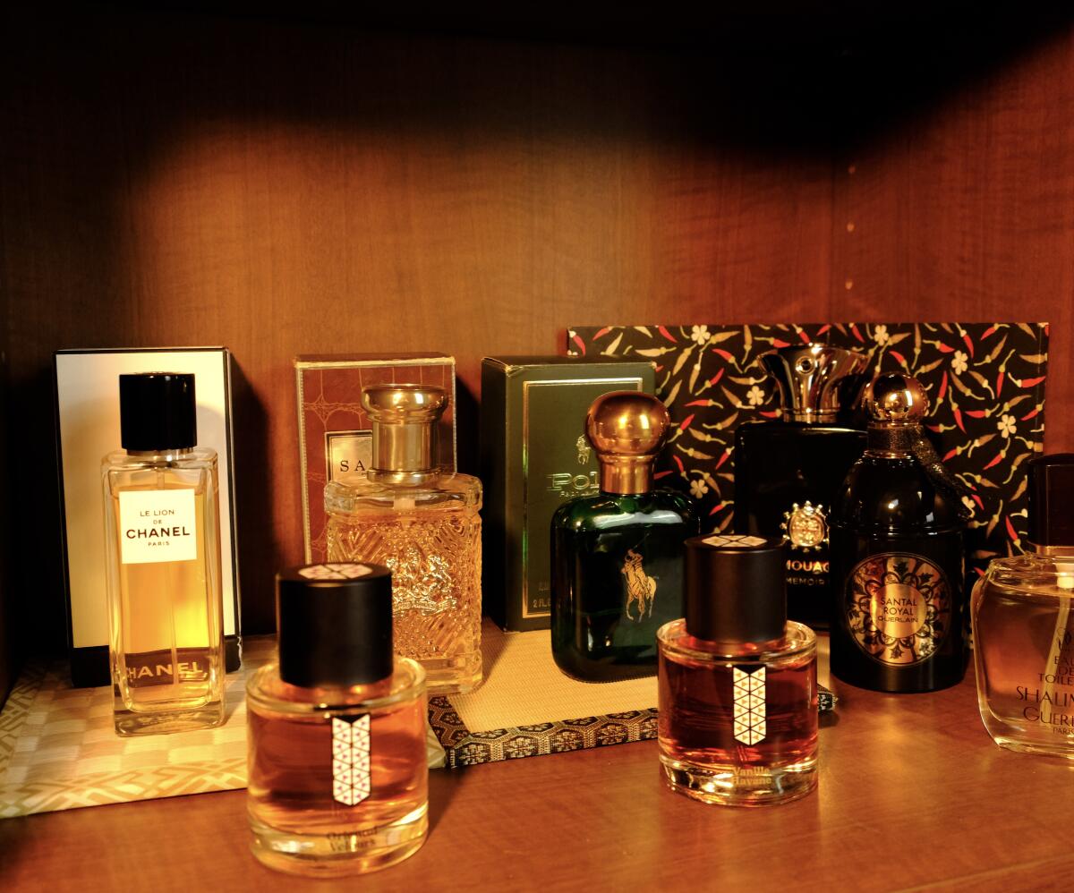 عطر ادکلن سافاری فور من رالف لورن - Safari for Men Ralph Lauren - بررسی، قیمت و خرید