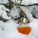 عطر ادکلن وندر بیلت گلودیا وندربیلت - Vanderbilt Gloria Vanderbilt - بررسی، قیمت و خرید