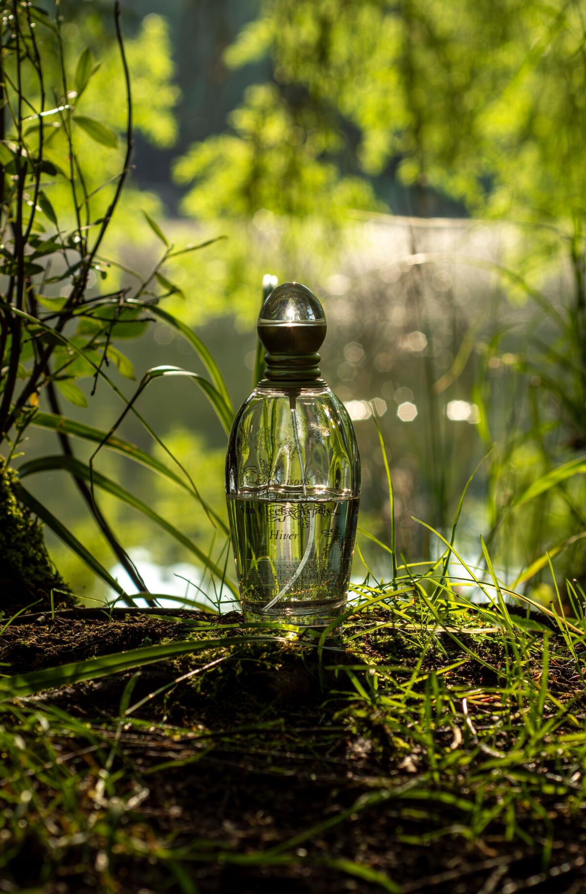 عطر ادکلن لی سِزُن ایوِر ون کلیف اند آرپلز - Les Saisons Hiver Van Cleef & Arpels - بررسی، قیمت و خرید