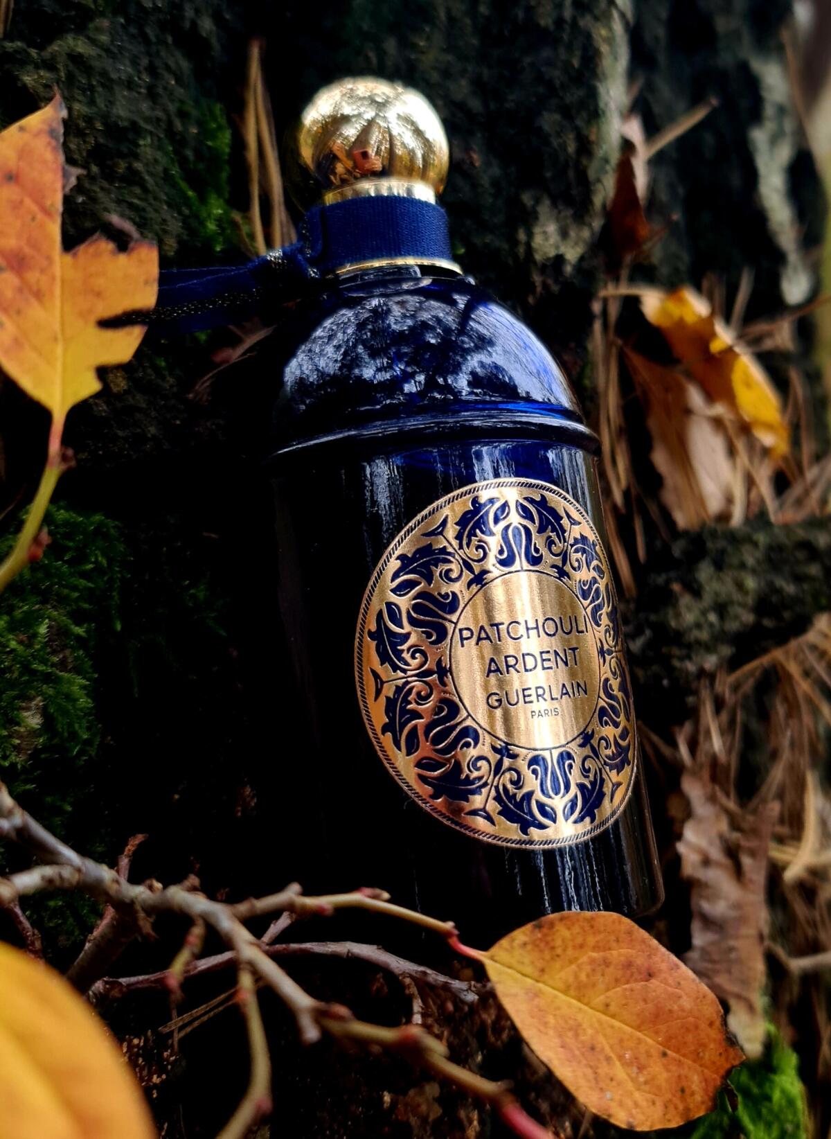 عطر ادکلن لیز آبسولو دون اورین پچولی آردنت گرلن - Les Absolus d'Orient Patchouli Ardent Guerlain - بررسی، قیمت و خرید
