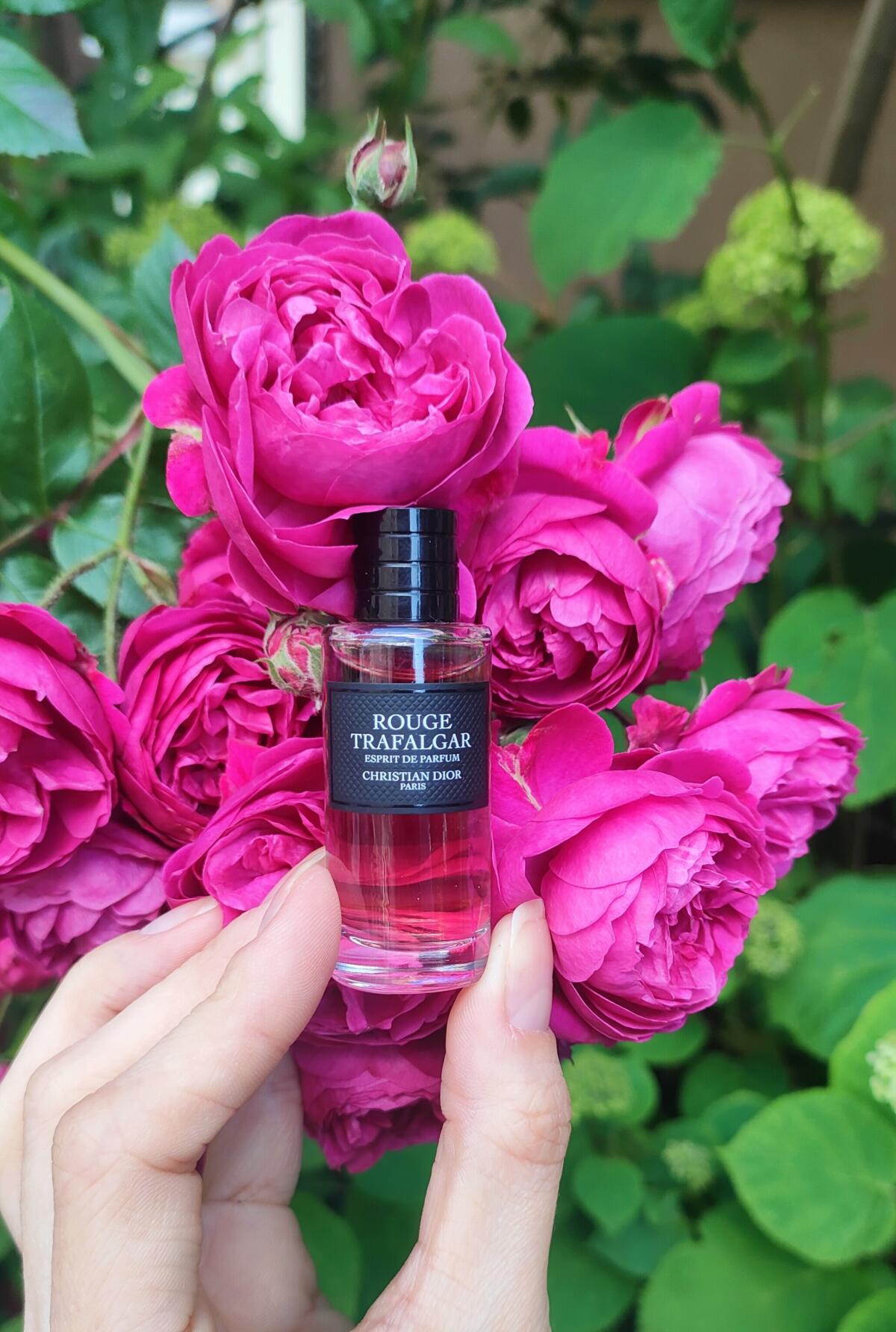 عطر ادکلن روژ ترافالگار اسپریت د پرفیوم دیور - Rouge Trafalgar Esprit De Parfum Dior - بررسی، قیمت و خرید