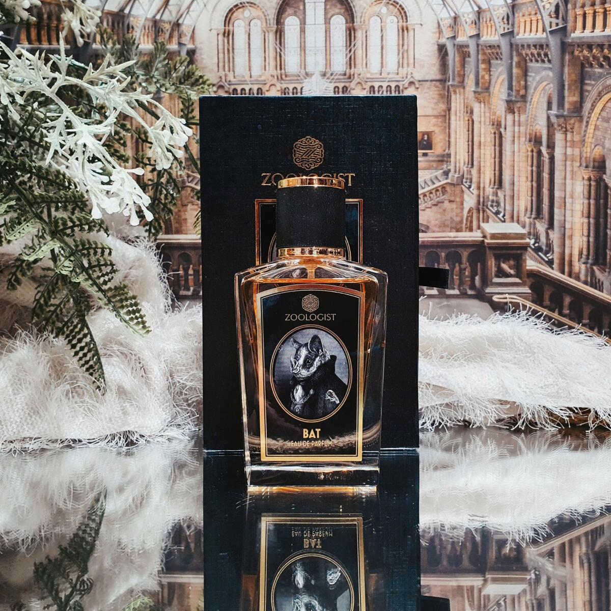 عطر ادکلن بت زولوژیست پرفیومز - Bat Zoologist Perfumes - بررسی، قیمت و خرید