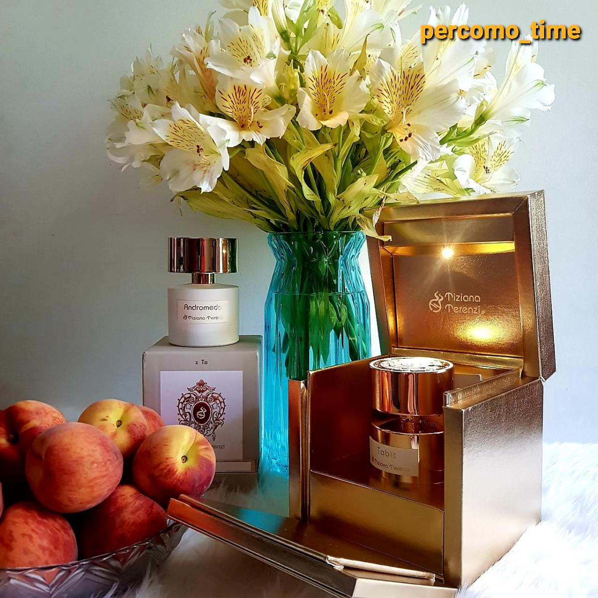 عطر ادکلن تابیت تیزیانا ترنزی - Tabit Tiziana Terenzi - بررسی، قیمت و خرید