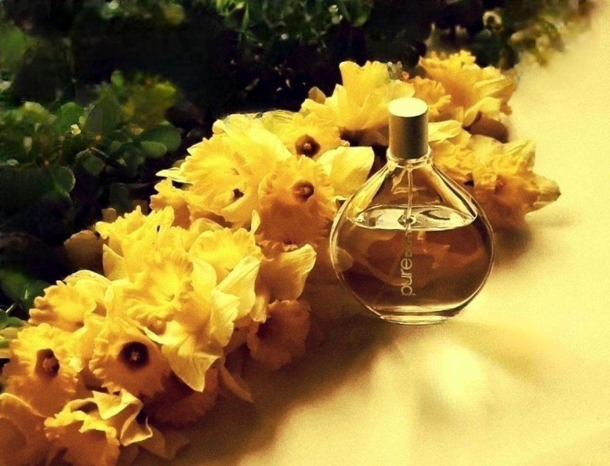 عطر ادکلن پیور دک ان وای وربنا دانا کارن - Pure DKNY Verbena Donna Karan - بررسی، قیمت و خرید