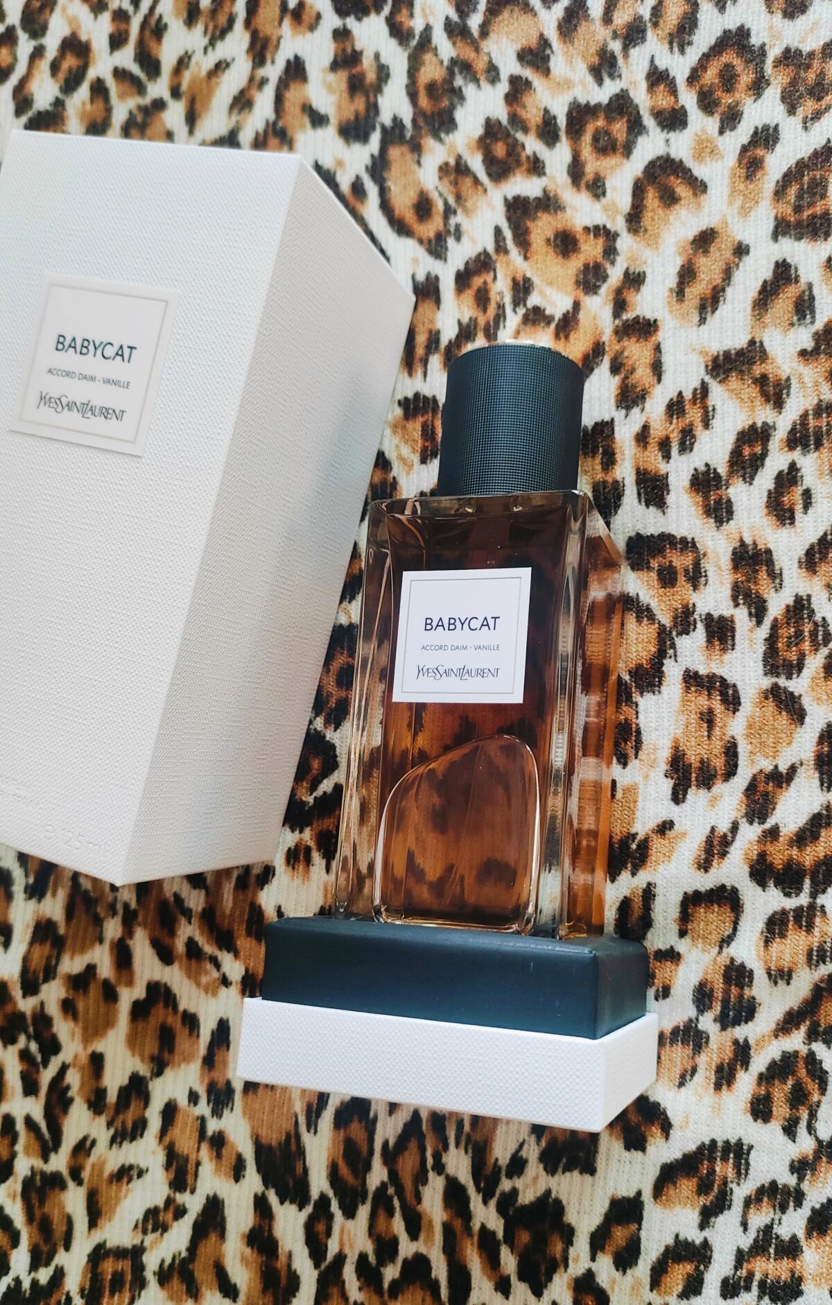 عطر ادکلن بیبیکت ایو سن لورن - Babycat Yves Saint Laurent - بررسی، قیمت و خرید