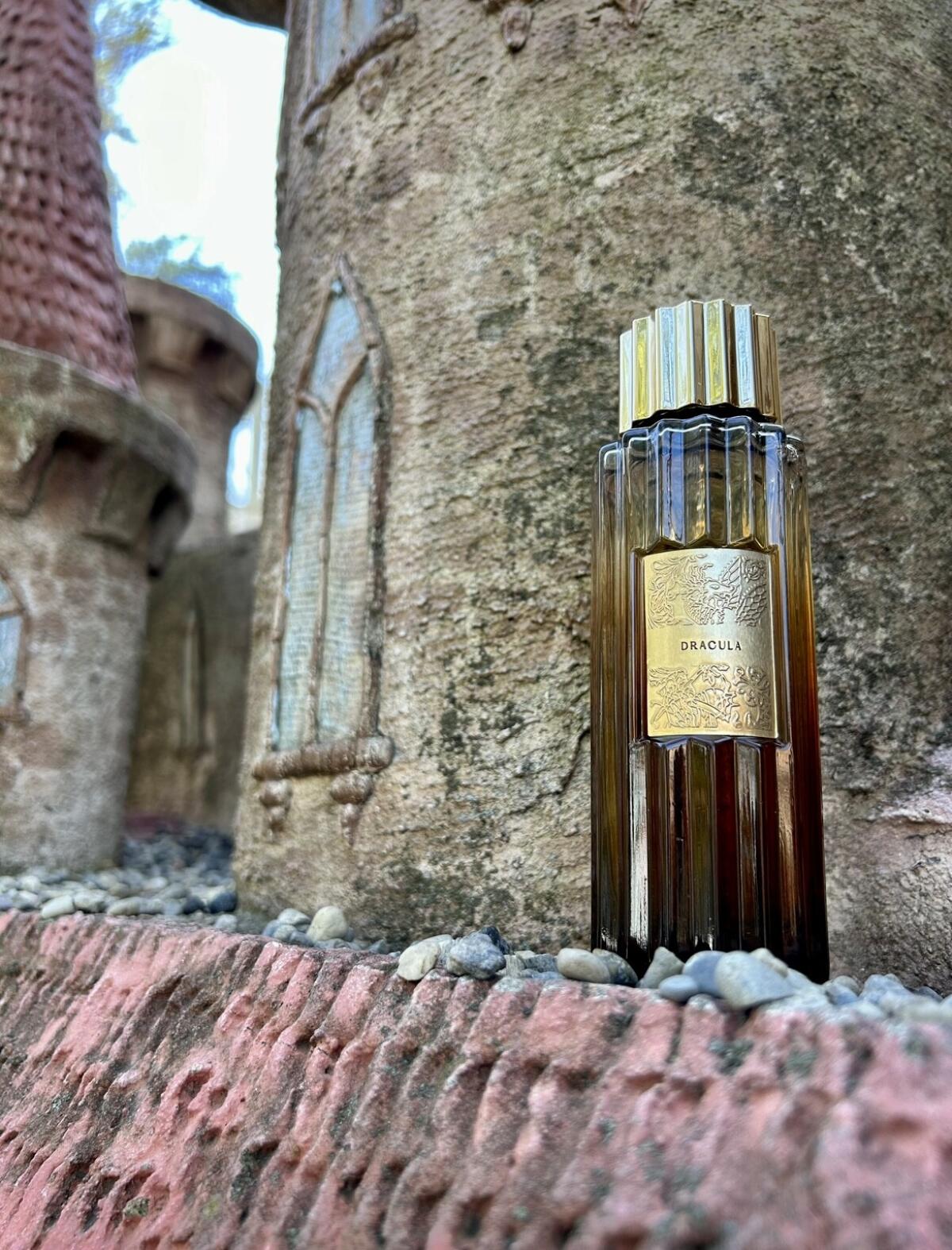 عطر ادکلن دراکولا وایاج رویال - Dracula Voyage Royal - بررسی، قیمت و خرید