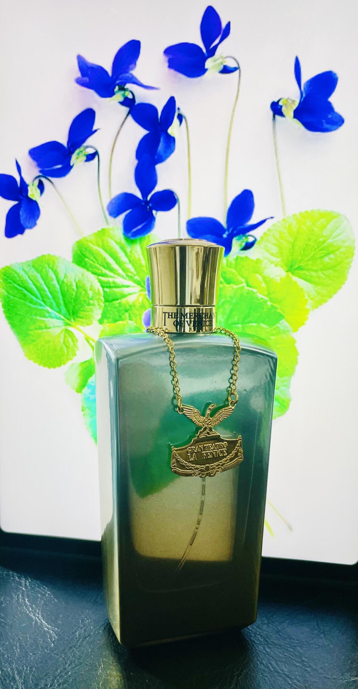عطر ادکلن لا فِنیش پور هم د مرچنت آو ونیز - La Fenice Pour Homme The Merchant of Venice - بررسی، قیمت و خرید