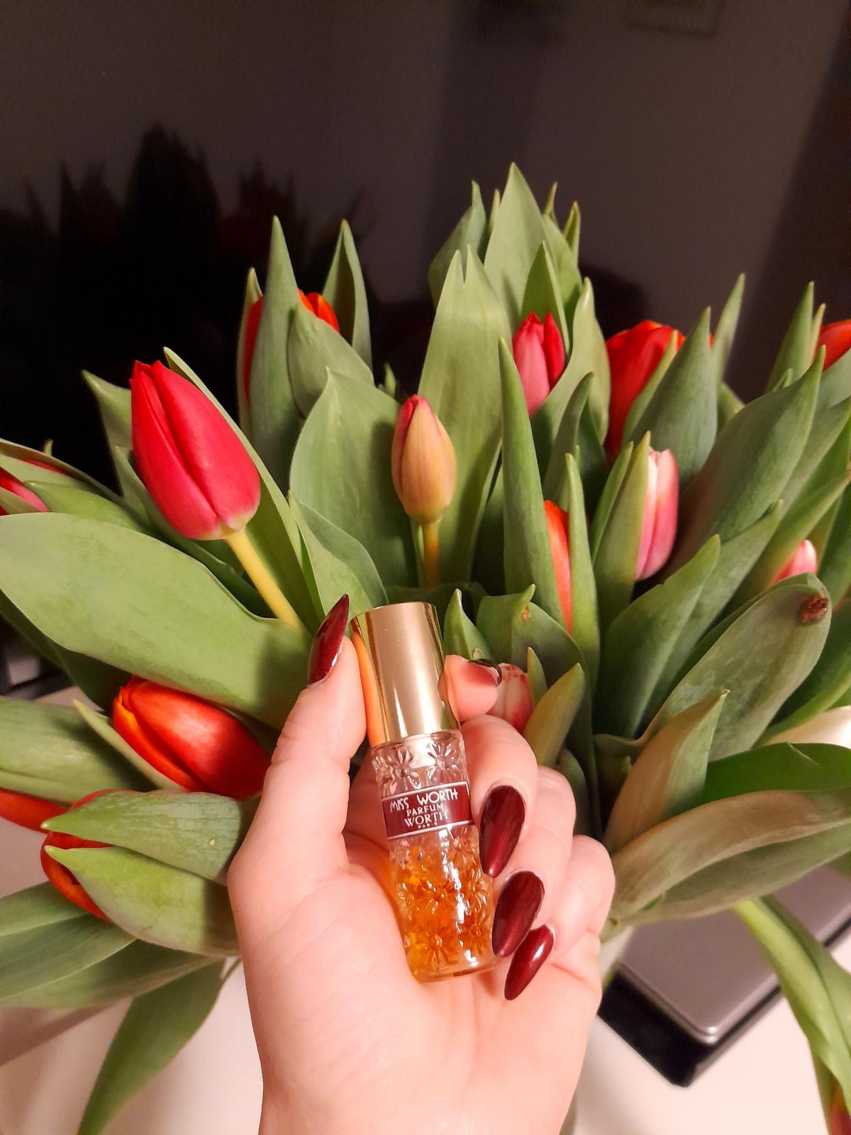 عطر ادکلن میس وورث وُرث - Miss Worth Worth - بررسی، قیمت و خرید