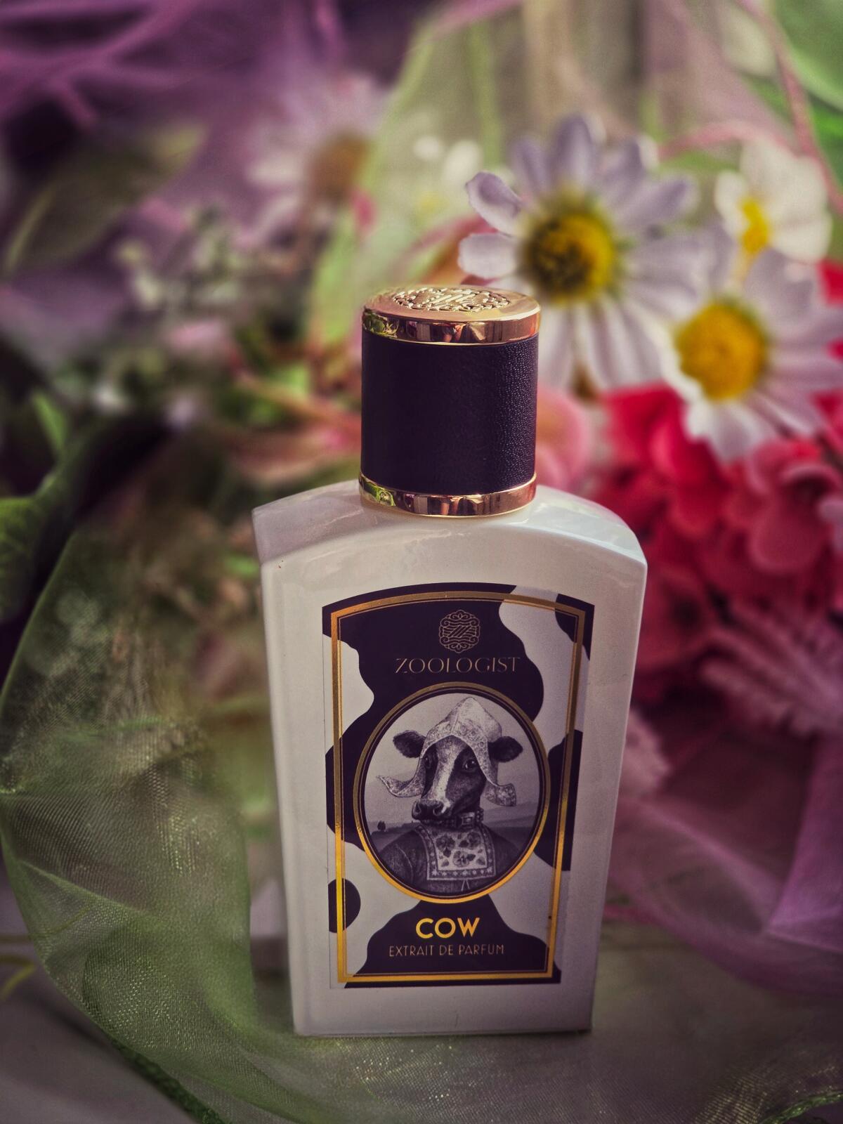 عطر ادکلن کو زولوژیست پرفیومز - Cow Zoologist Perfumes - بررسی، قیمت و خرید