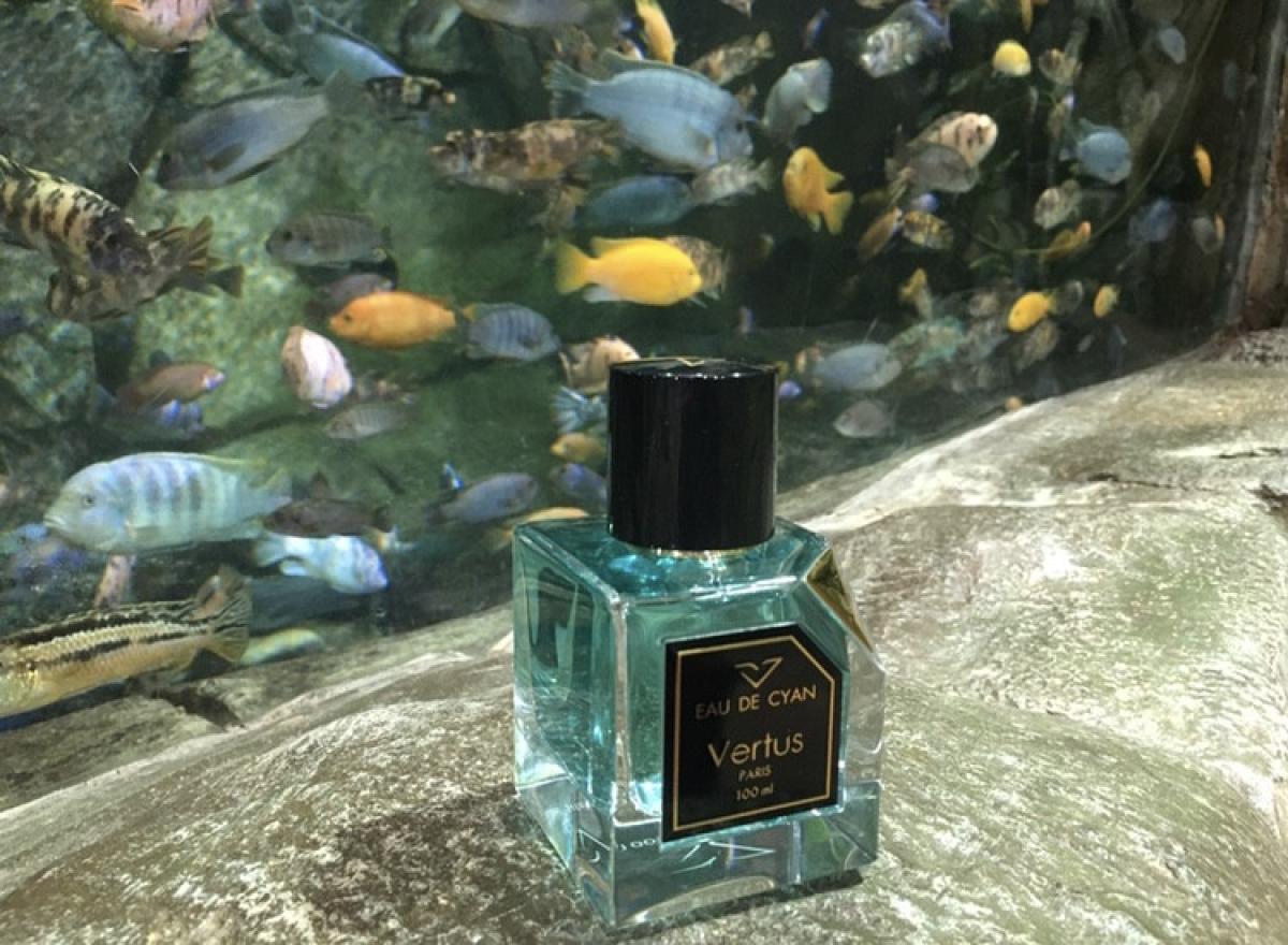 عطر ادکلن اُ دُ سیان ورتوس - Eau de Cyan Vertus - بررسی، قیمت و خرید