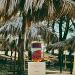 عطر ادکلن وان آمبرلا فور تو فلورایکو - One Umbrella for Two Floraïku - بررسی، قیمت و خرید