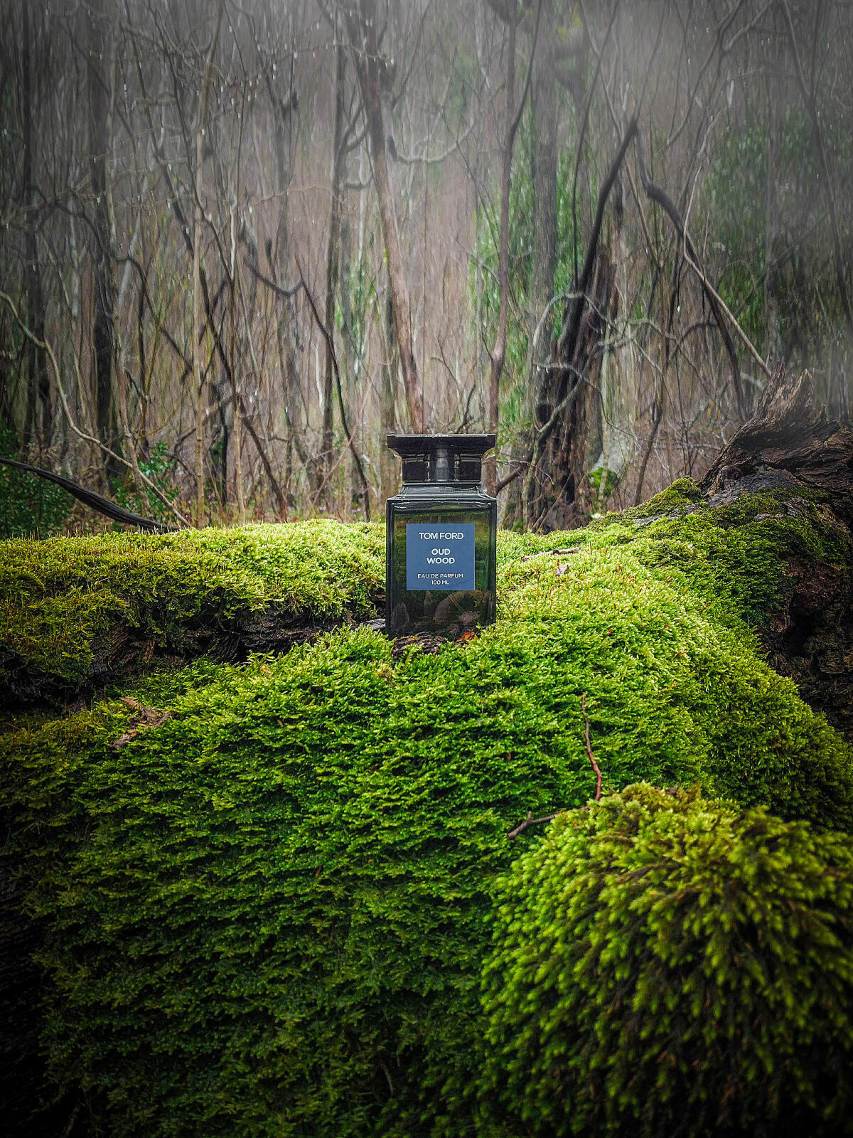 عطر ادکلن اود وود تام فورد - Oud Wood Tom Ford - بررسی، قیمت و خرید
