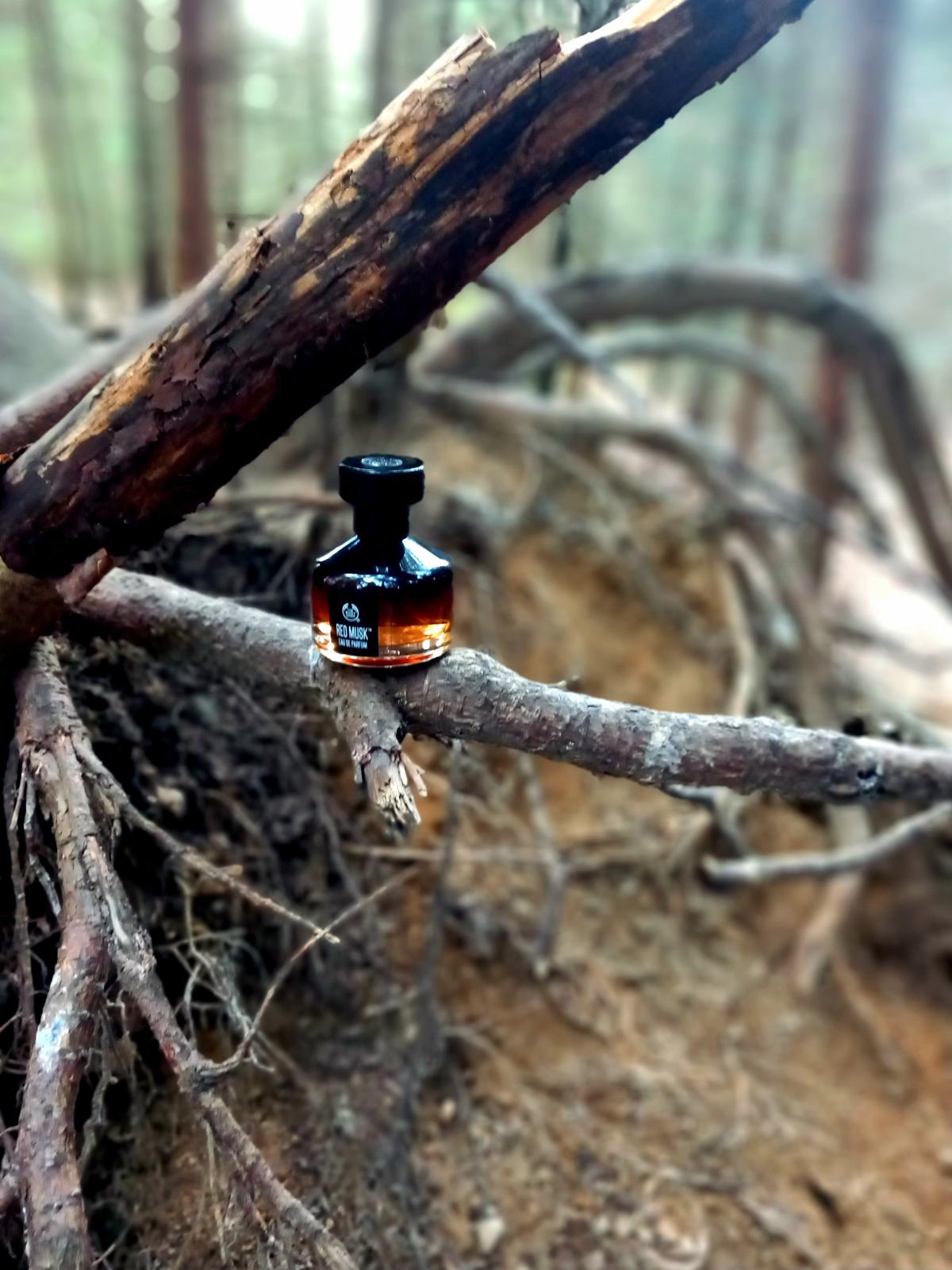 عطر ادکلن رد ماسک دبادی شاپ - Red Musk The Body Shop - بررسی، قیمت و خرید