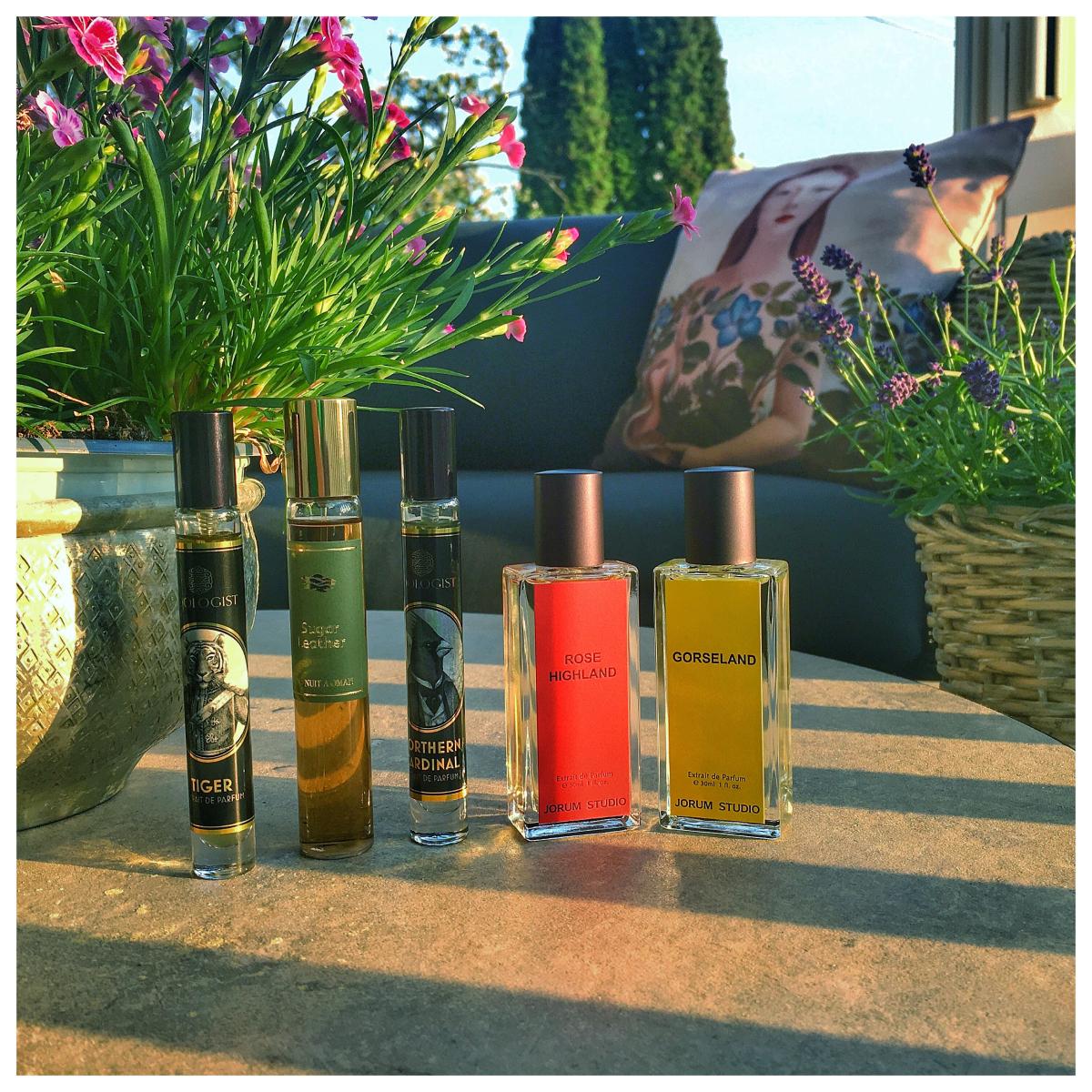 عطر ادکلن تایگر زوالوجیست پرفیومز - Tiger Zoologist Perfumes - بررسی، قیمت و خرید