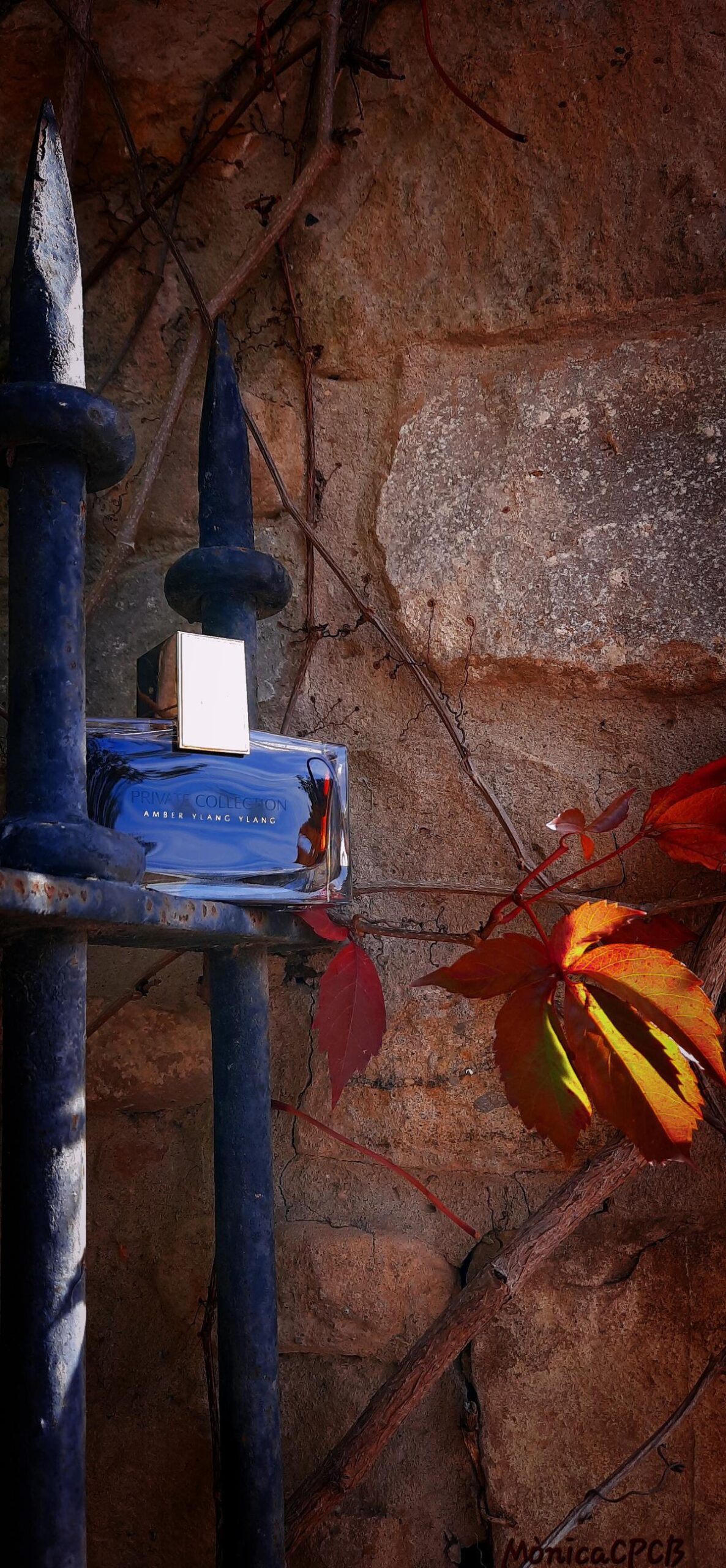 عطر ادکلن پریوت کالکشن امبر یلانگ یلانگ استی لودر - Private Collection Amber Ylang Ylang Estée Lauder - بررسی، قیمت و خرید