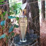 عطر ادکلن اِکستراوَگَنس دِ آماریج ژیوانشی - Extravagance d'Amarige Givenchy - بررسی، قیمت و خرید