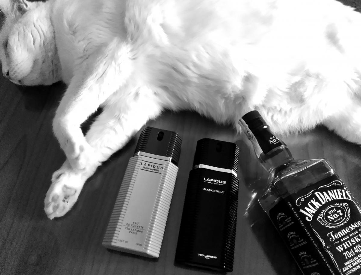 عطر ادکلن لپیدوس پور هوم بلک اکستریم تد لاپیدوس - Lapidus Pour Homme Black Extreme Ted Lapidus - بررسی، قیمت و خرید