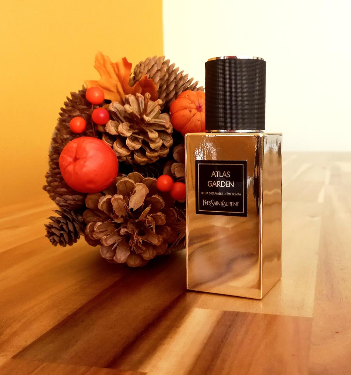 عطر ادکلن اطلس گاردن ایو سن لوران - Atlas Garden Yves Saint Laurent - بررسی، قیمت و خرید