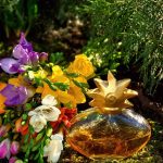 عطر ادکلن سولیل فراگونار - Soleil Fragonard - بررسی، قیمت و خرید