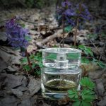 عطر ادکلن اسکادا دوهزار و پنج اسکادا - Escada 2005 Escada - بررسی، قیمت و خرید
